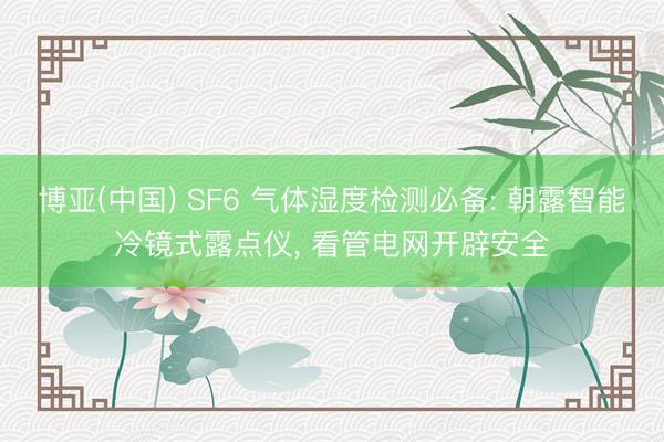 博亚(中国) SF6 气体湿度检测必备: 朝露智能冷镜式露点仪， 看管电网开辟安全