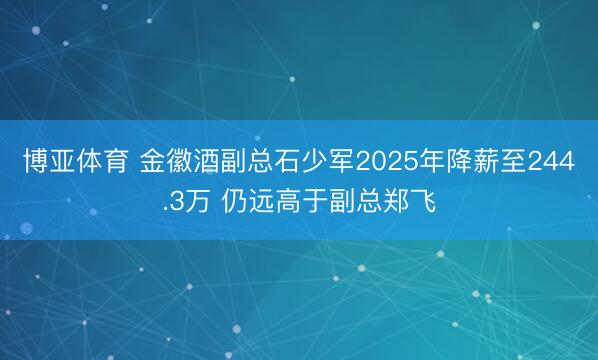 博亚体育 金徽酒副总石少军2025年降薪至244.3万 仍远高于副总郑飞