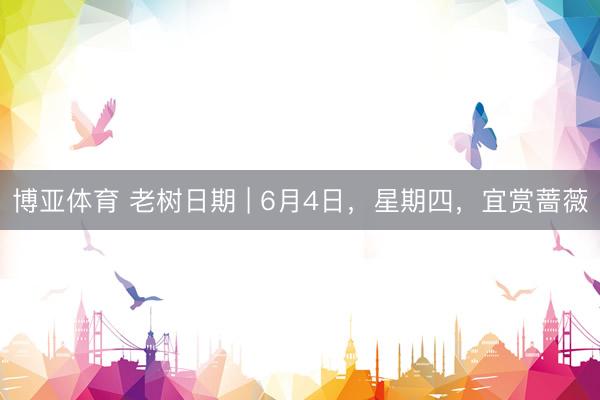 博亚体育 老树日期 | 6月4日，星期四，宜赏蔷薇