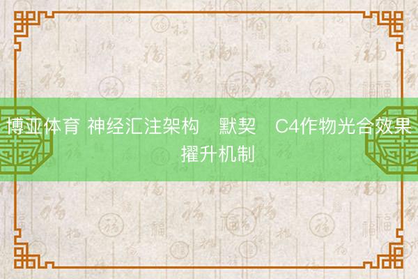 博亚体育 神经汇注架构‌默契‌C4作物光合效果‌擢升机制‌