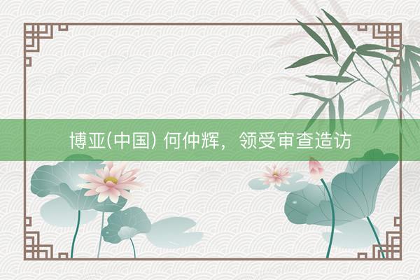 博亚(中国) 何仲辉，领受审查造访