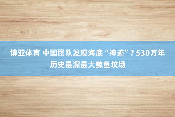 博亚体育 中国团队发现海底“神迹”? 530万年历史最深最大鲸鱼坟场