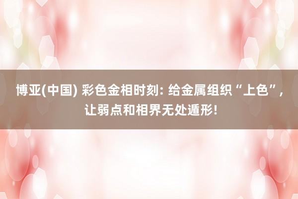 博亚(中国) 彩色金相时刻: 给金属组织“上色”, 让弱点和相界无处遁形!