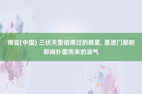 博亚(中国) 三伏天里信得过的救星， 是进门那刹那间扑面而来的凉气